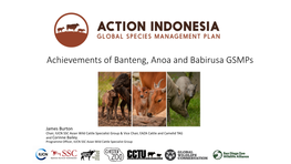 Achievements of Banteng, Anoa and Babirusa Gsmps