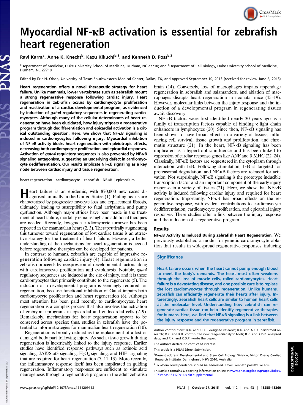 Myocardial NF-Κb Activation Is Essential for Zebrafish Heart Regeneration