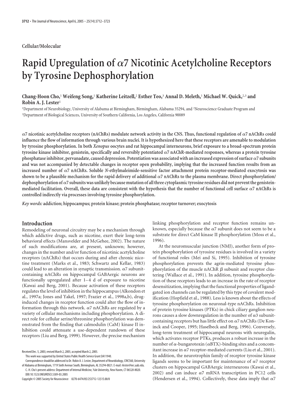 Rapid Upregulation Ofα7 Nicotinic Acetylcholine Receptors By