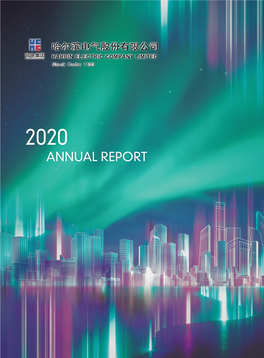 Annual Report Annual 2020