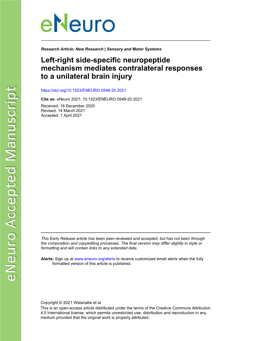 Left-Right Side-Specific Neuropeptide Mechanism Mediates Contralateral Responses to a Unilateral Brain Injury