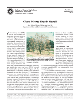 Citrus Tristeza Virus in Hawai'i