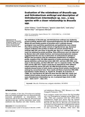 Evaluation of the Relatedness of Brucella Spp. and Ochrobactrum Anthropi and Description of Ochrobactrum Intermedium Sp