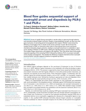 Blood Flow Guides Sequential Support of Neutrophil Arrest and Diapedesis