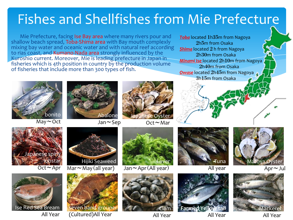 Fishes and Shellfishes from Mie Prefecture