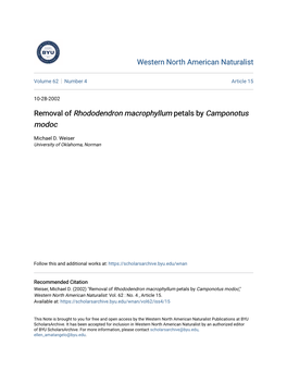 Removal of Rhododendron Macrophyllum Petals by Camponotus Modoc