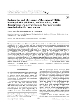 Mollusca, Nudibranchia), with Descriptions of a New Genus and Four New Species from Indo-Paciﬁc Deep Waters