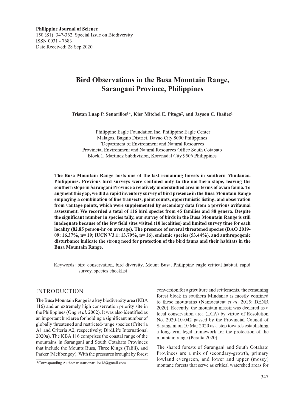 Bird Observations in the Busa Mountain Range, Sarangani Province, Philippines