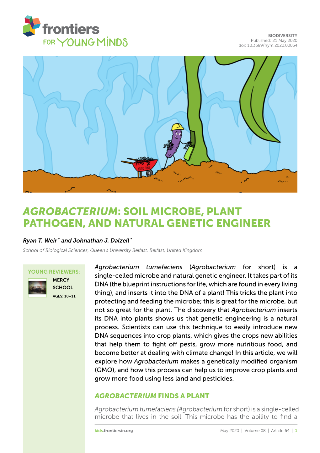 Agrobacterium: Soil Microbe, Plant Pathogen, and Natural Genetic Engineer