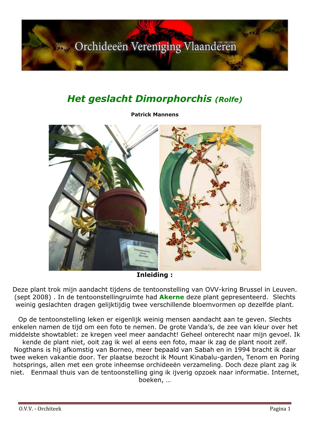 Het Geslacht Dimorphorchis (Rolfe)