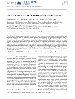 Diversification of North American Natricine Snakes