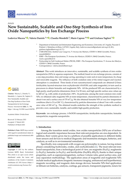New Sustainable, Scalable and One-Step Synthesis of Iron Oxide Nanoparticles by Ion Exchange Process