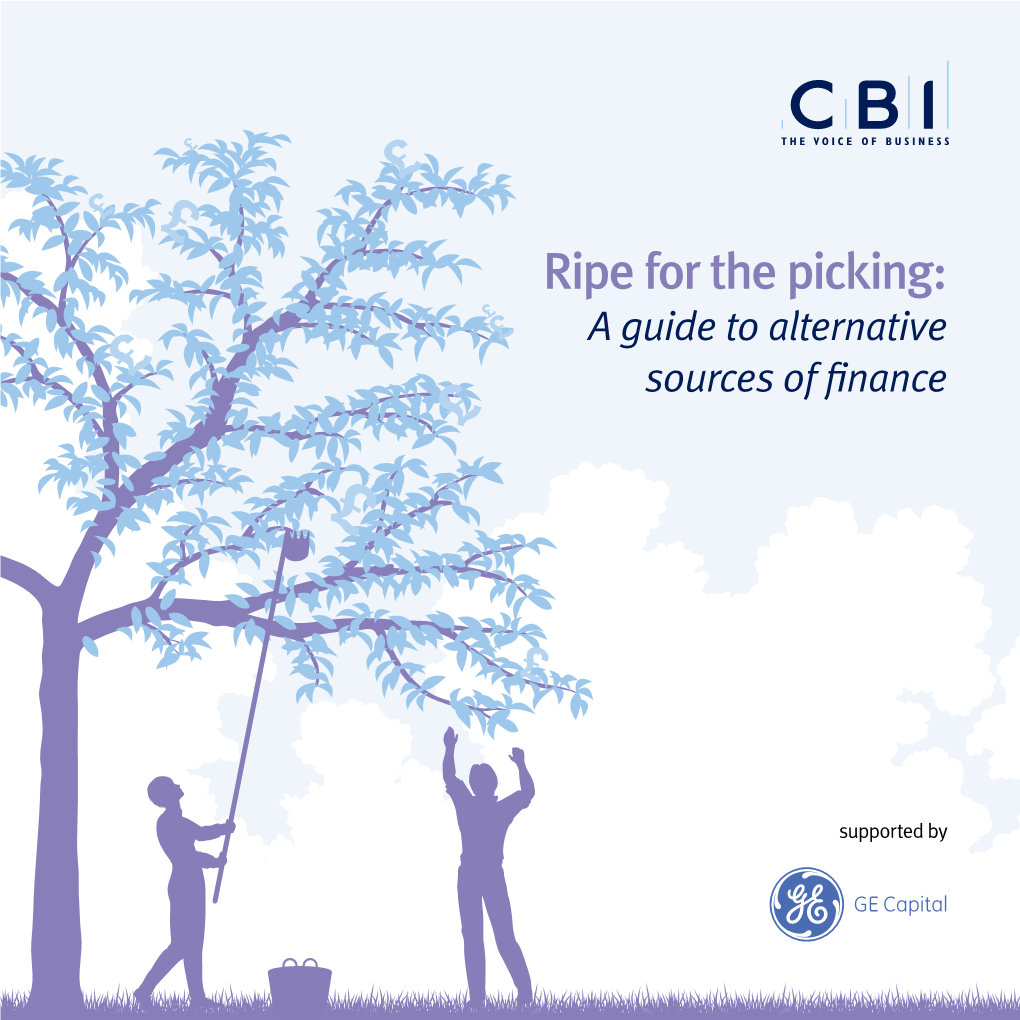 Ripe for the Picking: a Guide to Alternative Sources of Finance