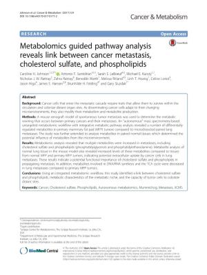 Metabolomics Guided Pathway Analysis Reveals Link Between Cancer Metastasis, Cholesterol Sulfate, and Phospholipids Caroline H