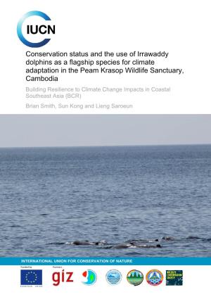 Conservation Status and the Use of Irrawaddy Dolphins As a Flagship