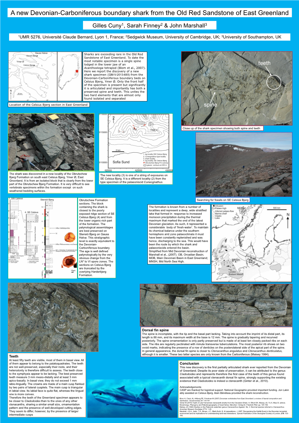 A New Devonian-Carboniferous Boundary Shark from the Old Red Sandstone of East Greenland