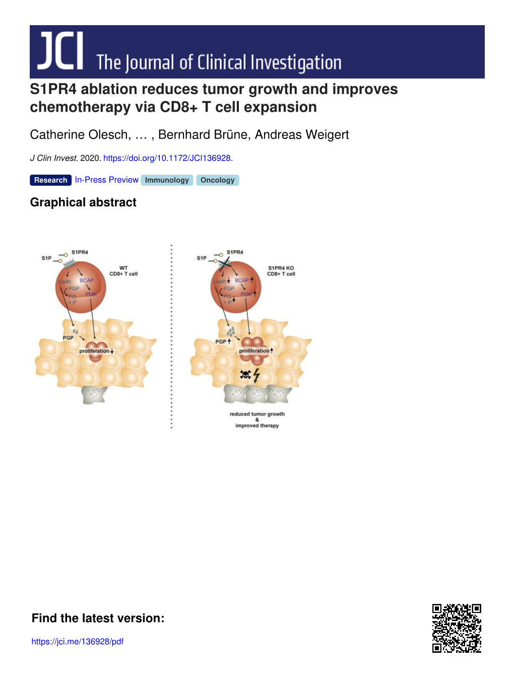 S1PR4 Ablation Reduces Tumor Growth and Improves Chemotherapy Via CD8+ T Cell Expansion
