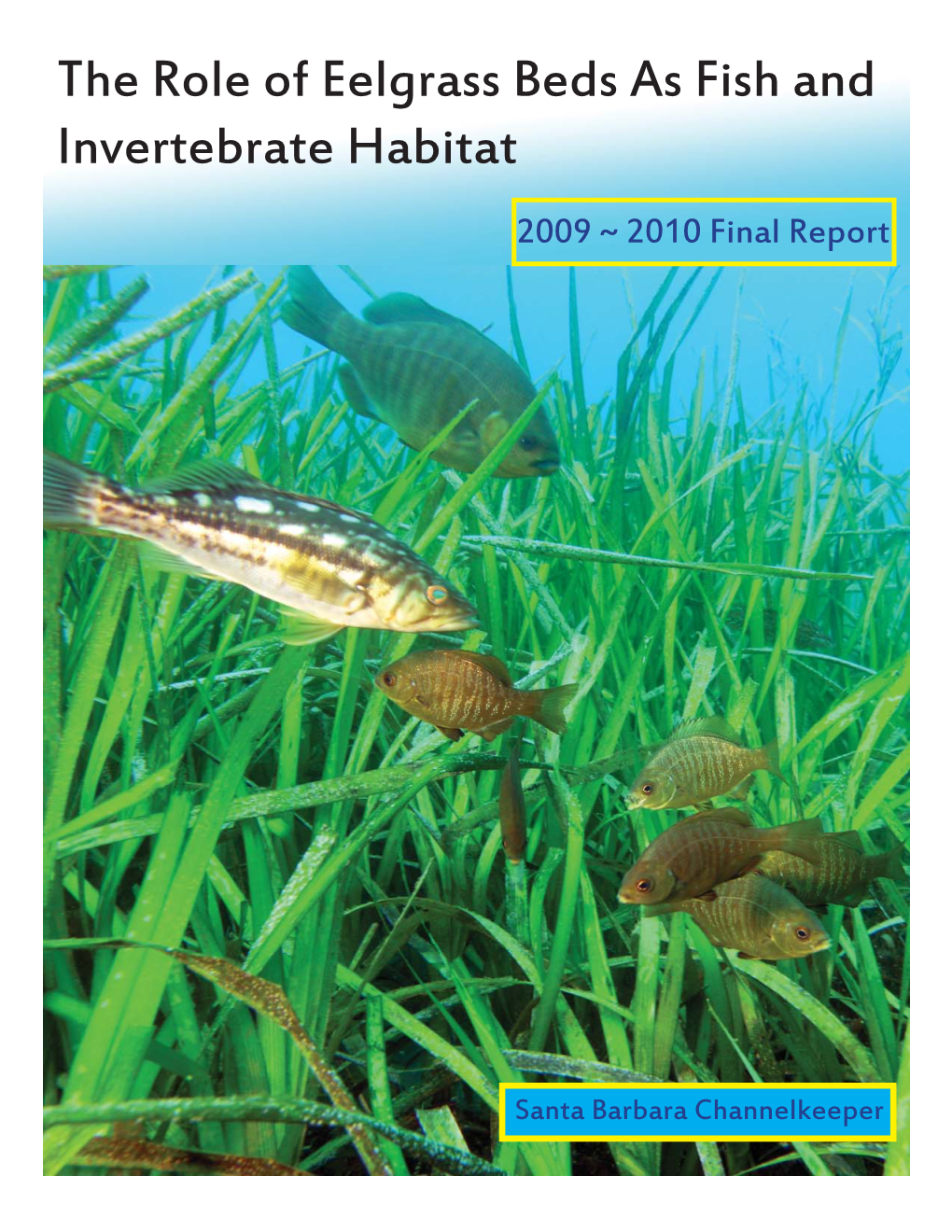 The Role of Eelgrass Beds As Fish and Invertebrate Habitat 2009 ~ 2010 Final Report