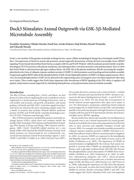 Dock3 Stimulates Axonal Outgrowth Via GSK-3ß-Mediated Microtubule