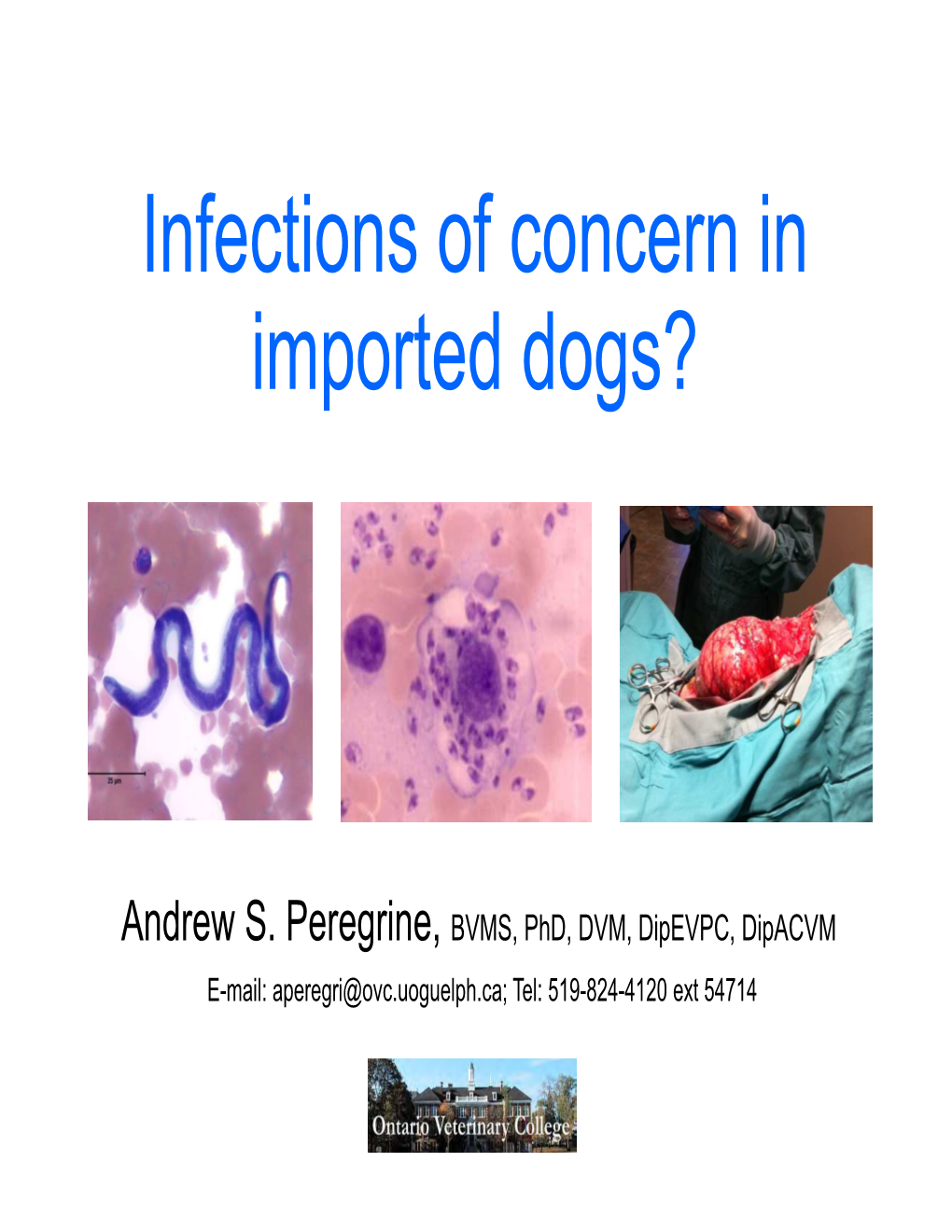 Leishmaniasis • Canine Heartworm • Rabies • Canine Influenza • Screwworm • Canine Lungworm • Tick-Borne Diseases • Echinococcus Multilocularis