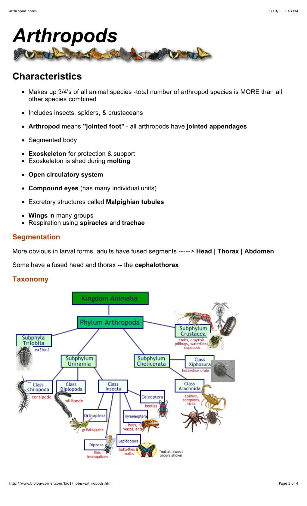 Arthropod Notes 5/10/11 2:43 PM Arthropods