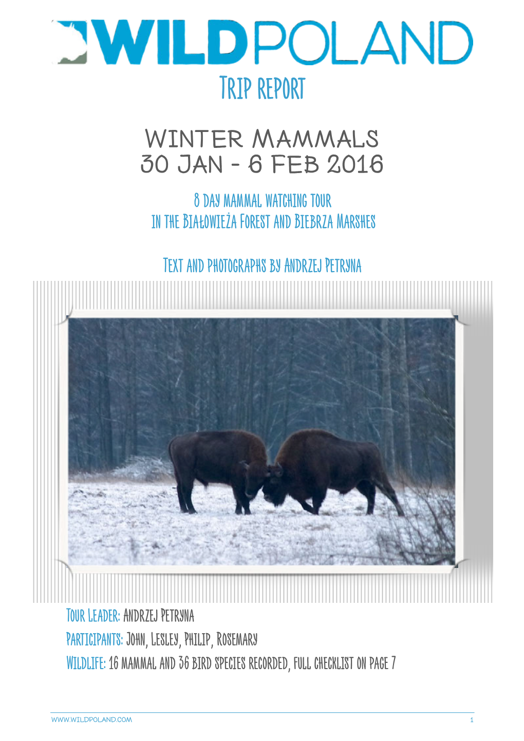 Winter Mammals Tour in Białowieża Forest and Biebrza Marshes, 2016