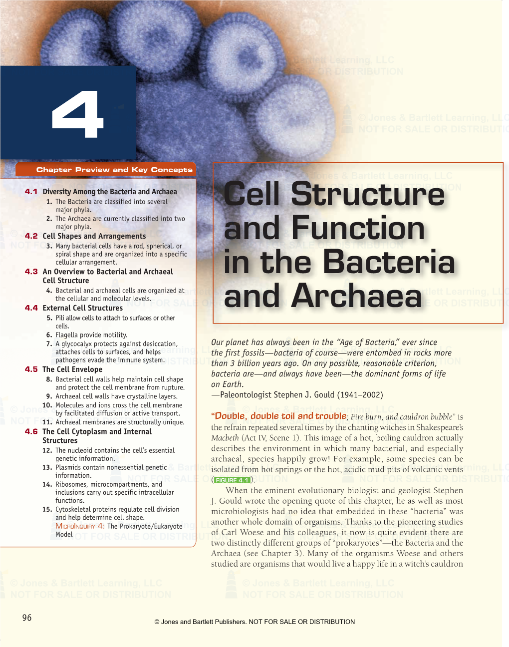 Cell Structure and Function in the Bacteria and Archaea