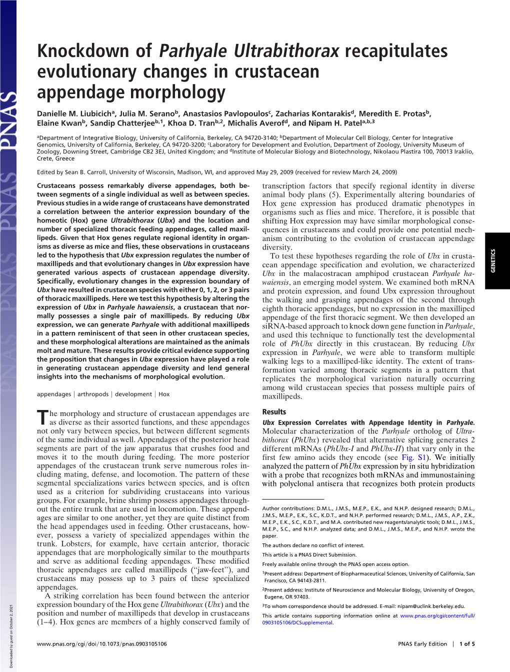 Knockdown of Parhyale Ultrabithorax Recapitulates Evolutionary Changes in Crustacean Appendage Morphology