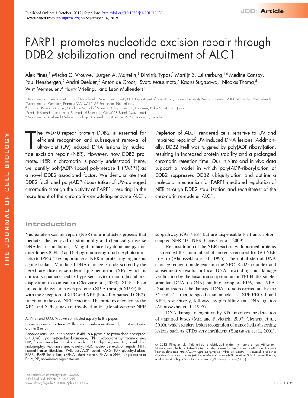 PARP1 Promotes Nucleotide Excision Repair Through DDB2 Stabilization and Recruitment of ALC1