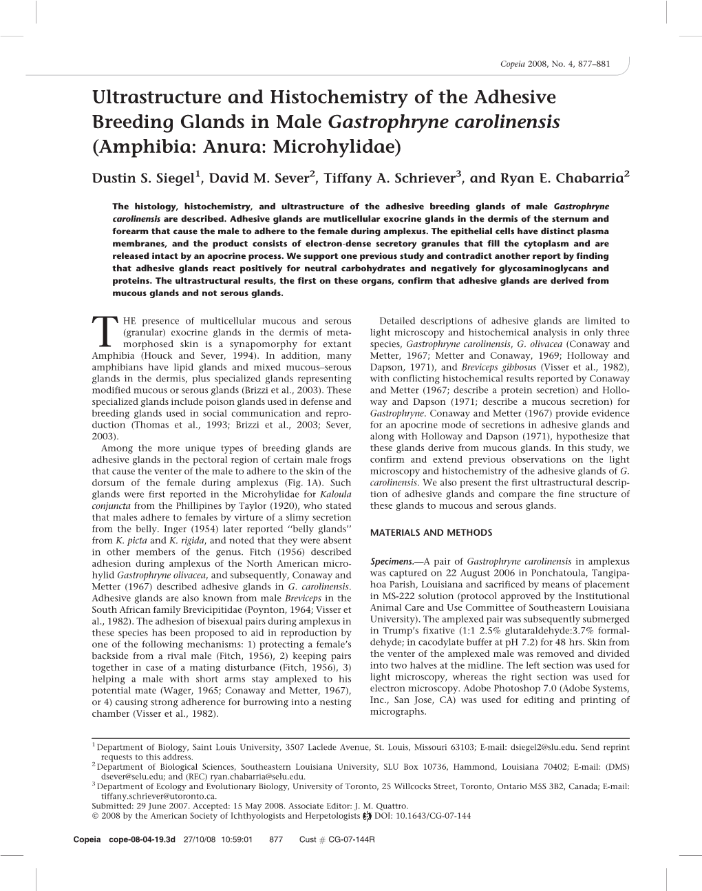 Ultrastructure and Histochemistry of the Adhesive Breeding Glands in Male Gastrophryne Carolinensis (Amphibia: Anura: Microhylidae)