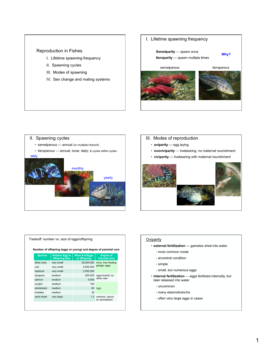 Reproduction in Fishes Semelparity — Spawn Once Why? I