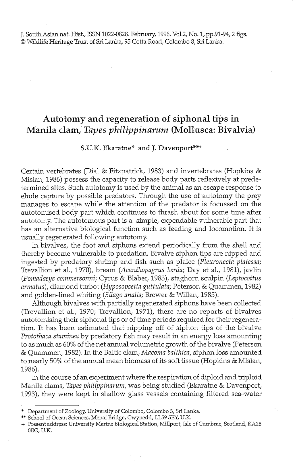 Autotomy and Regeneration of Siphonal Tips in Manila Clam, Tapes Philippinarum (Mollusca: Bivalvia)