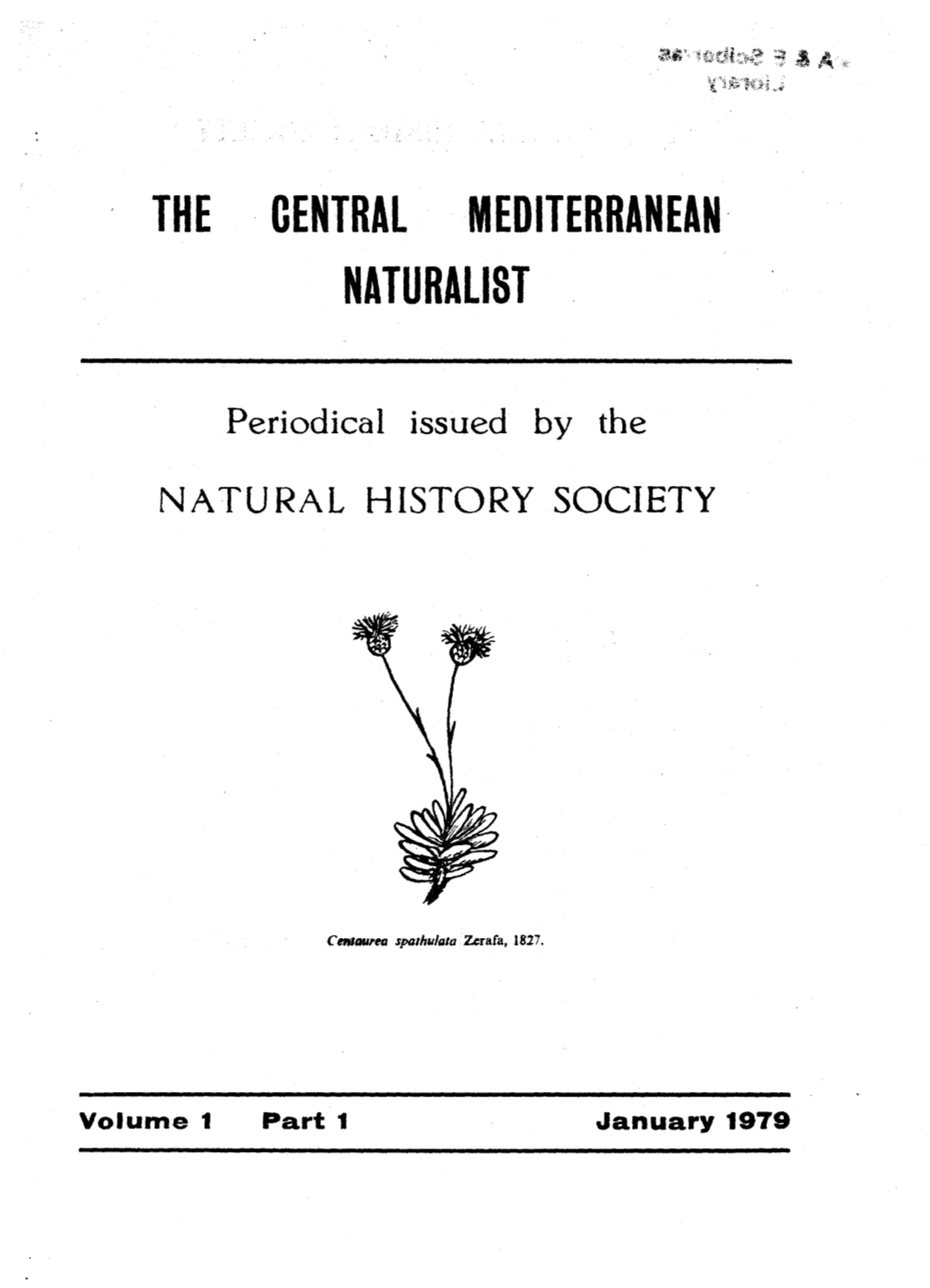 The Central Mediterranean· Naturalist
