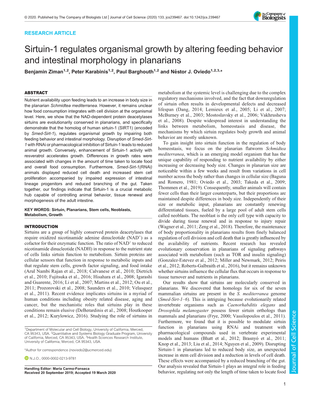 Sirtuin-1 Regulates Organismal Growth by Altering Feeding Behavior