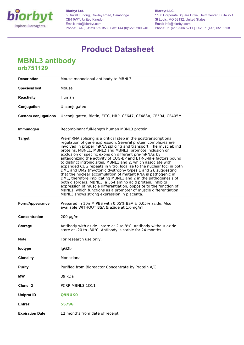 Product Datasheet MBNL3 Antibody Orb751129