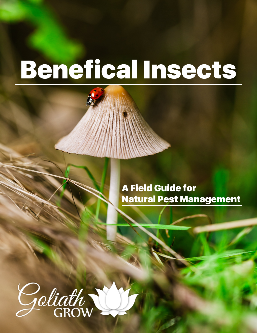 Benefical Insects