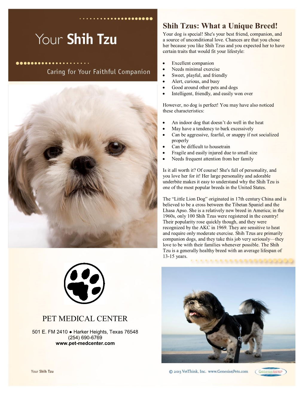 Shih Tzus: What a Unique Breed! PET MEDICAL CENTER