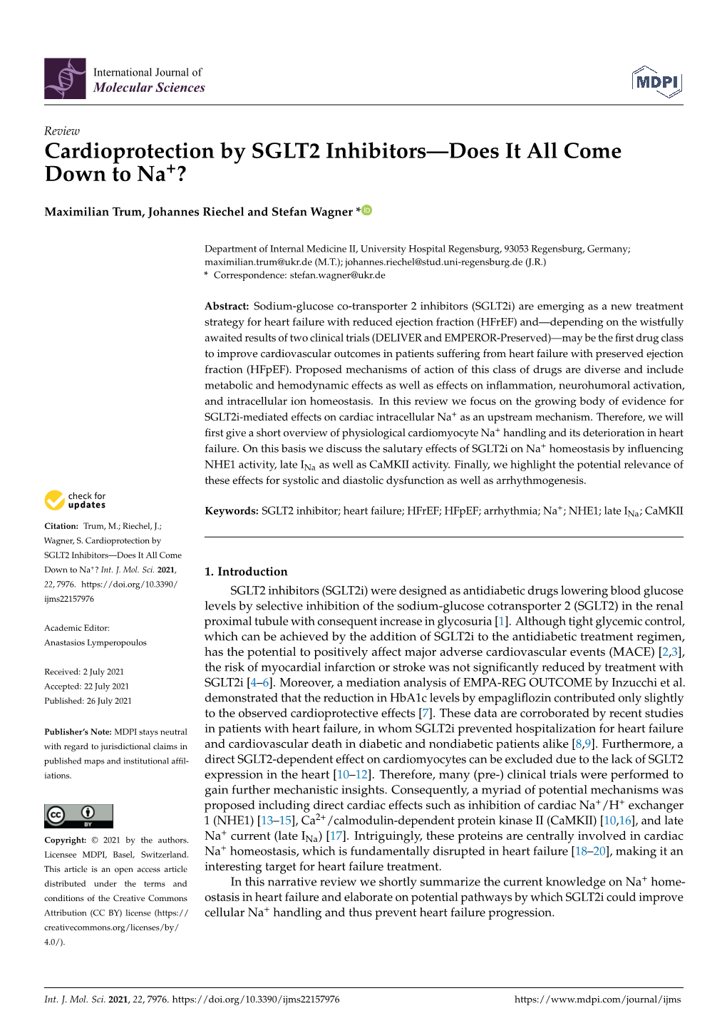 Cardioprotection by SGLT2 Inhibitors—Does It All Come Down to Na+?