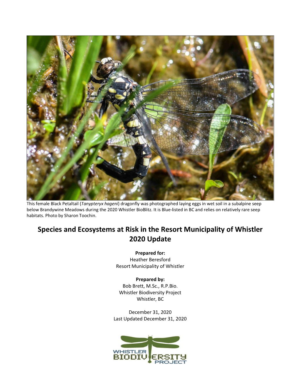 Species and Ecosystems at Risk in the Resort Municipality of Whistler 2020 Update