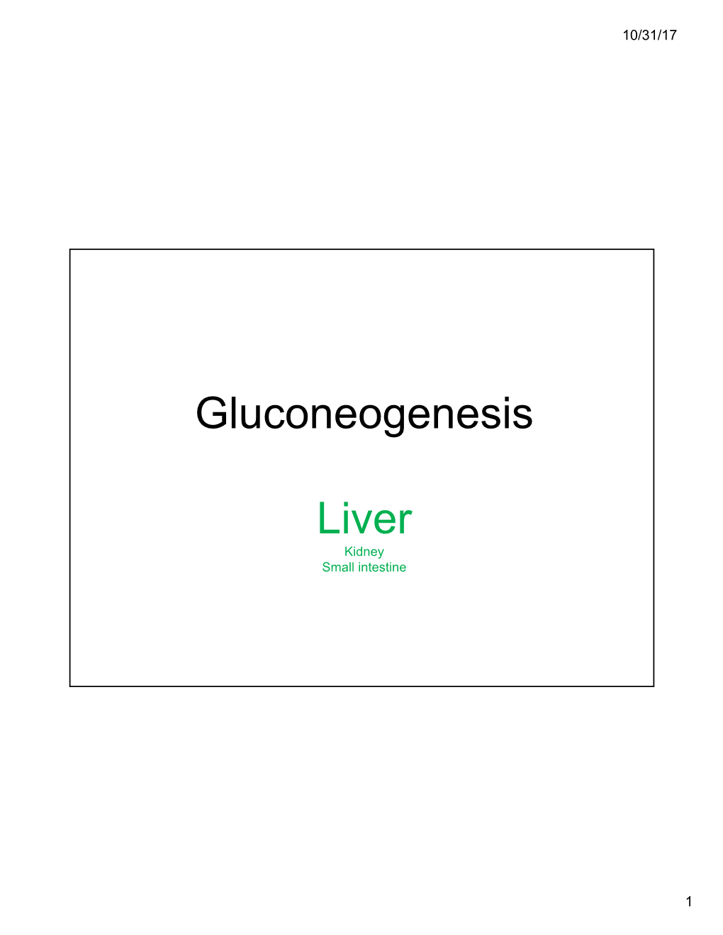 Gluconeogenesis Liver