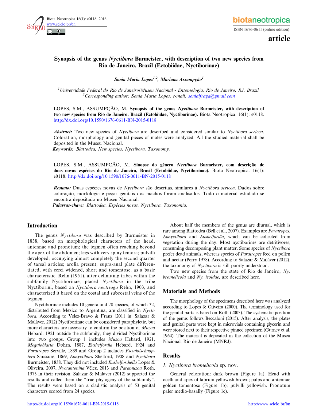 Synopsis of the Genus Nyctibora Burmeister, with Description of Two New Species from Rio De Janeiro, Brazil (Ectobiidae, Nyctiborinae)