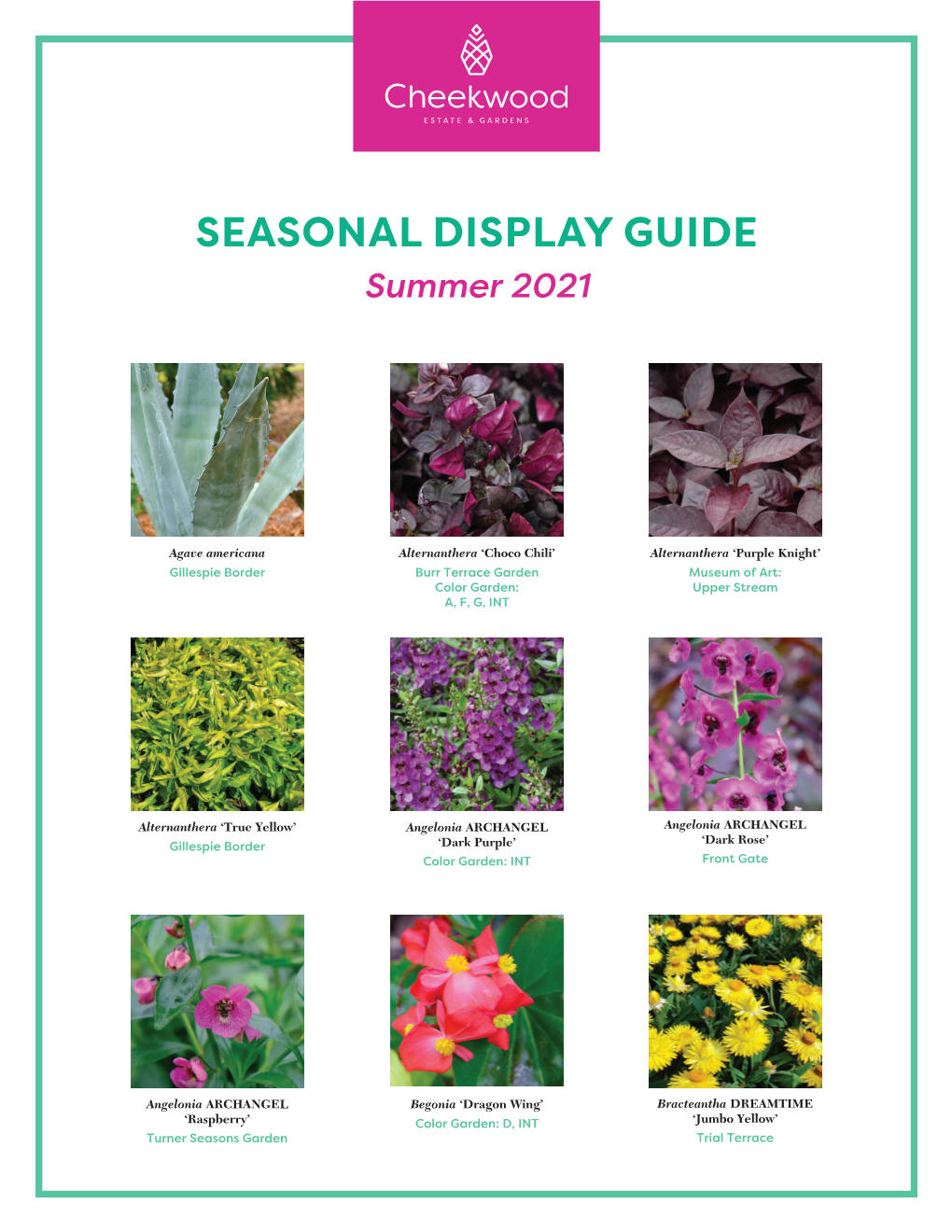 SEASONAL DISPLAY GUIDE Summer 2021