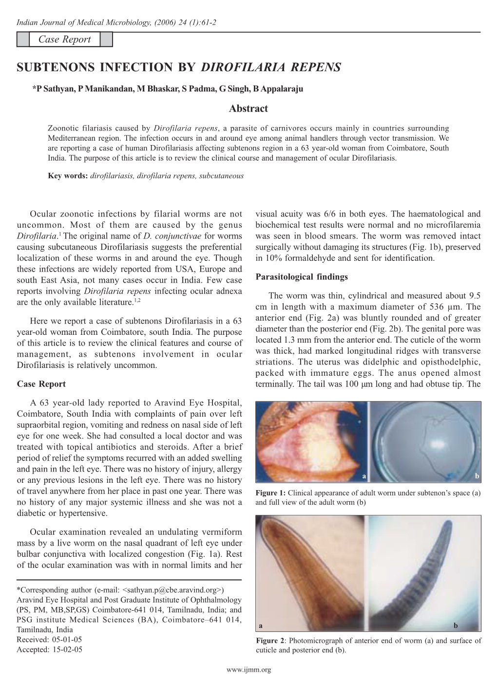 Subtenons Infection by Dirofilaria Repens