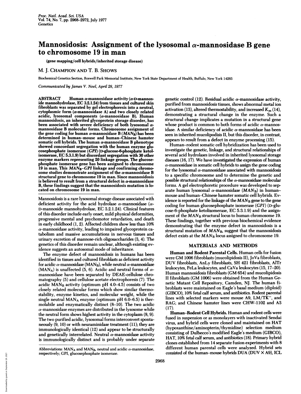 Mannosidosis: Assignment of the Lysosomal A-Mannosidase B Gene to Chromosome 19 in Man (Gene Mapping/Cell Hybrids/Inherited Storage Disease) M