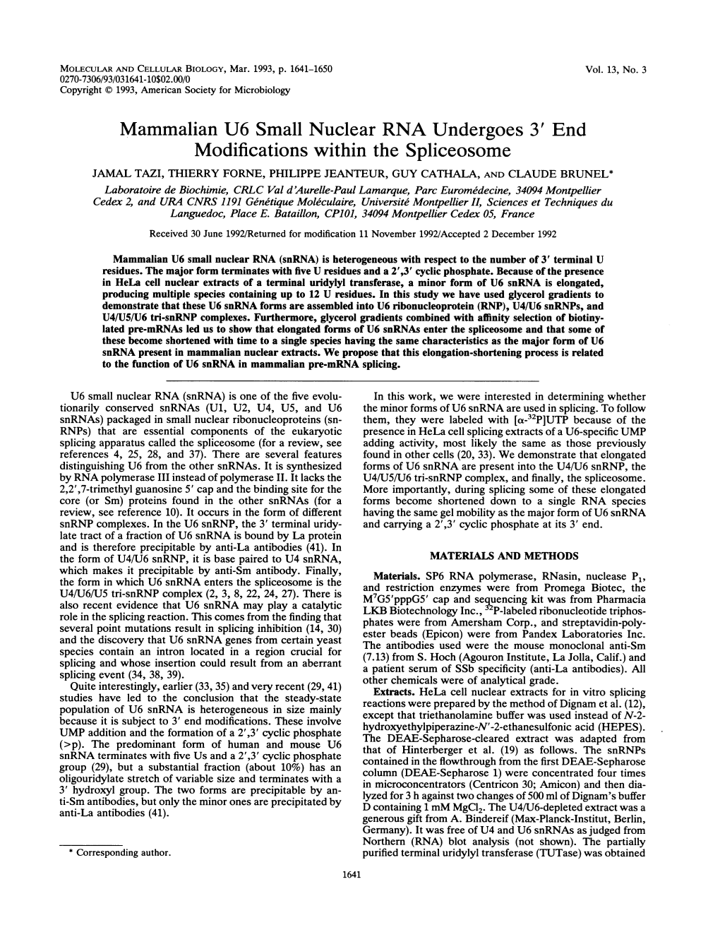 Mammalian U6 Small Nuclear RNA Undergoes 3' End Modifications