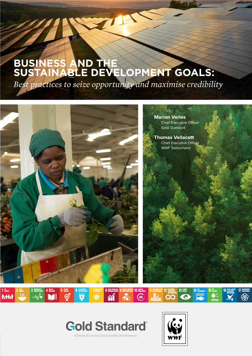 [Report] Business and the Sustainable Development Goals