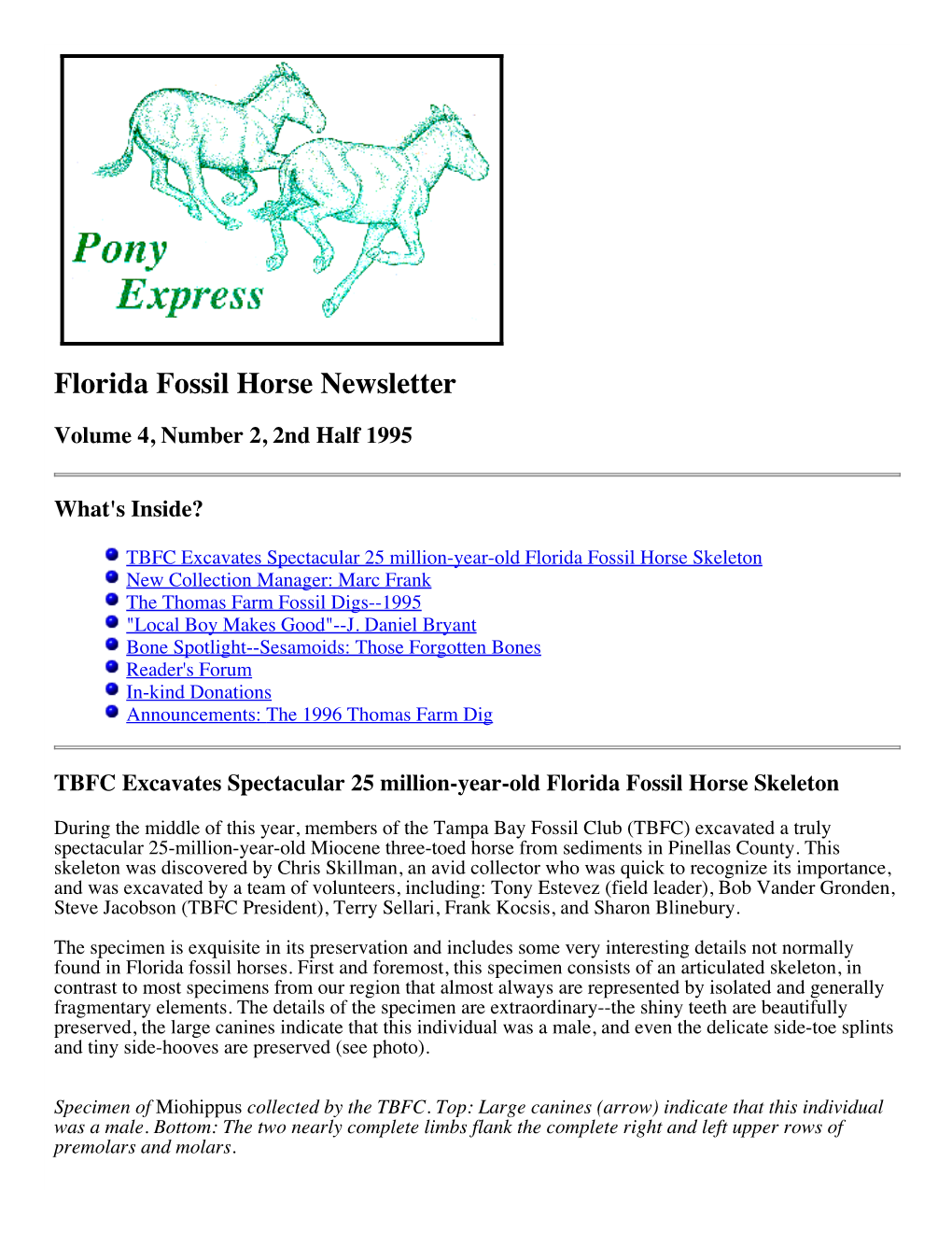 Florida Fossil Horse Newsletter