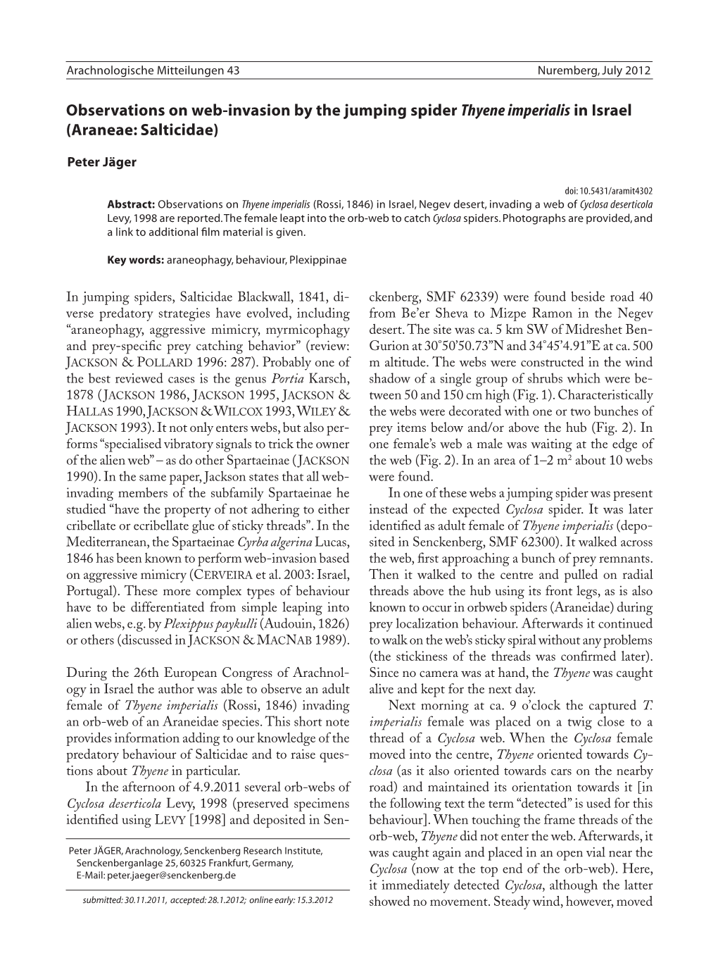 Observations on Web-Invasion by the Jumping Spider Thyene Imperialis in Israel (Araneae: Salticidae)