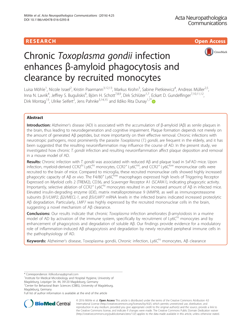 Chronic Toxoplasma Gondii Infection Enhances Β-Amyloid Phagocytosis and Clearance by Recruited Monocytes