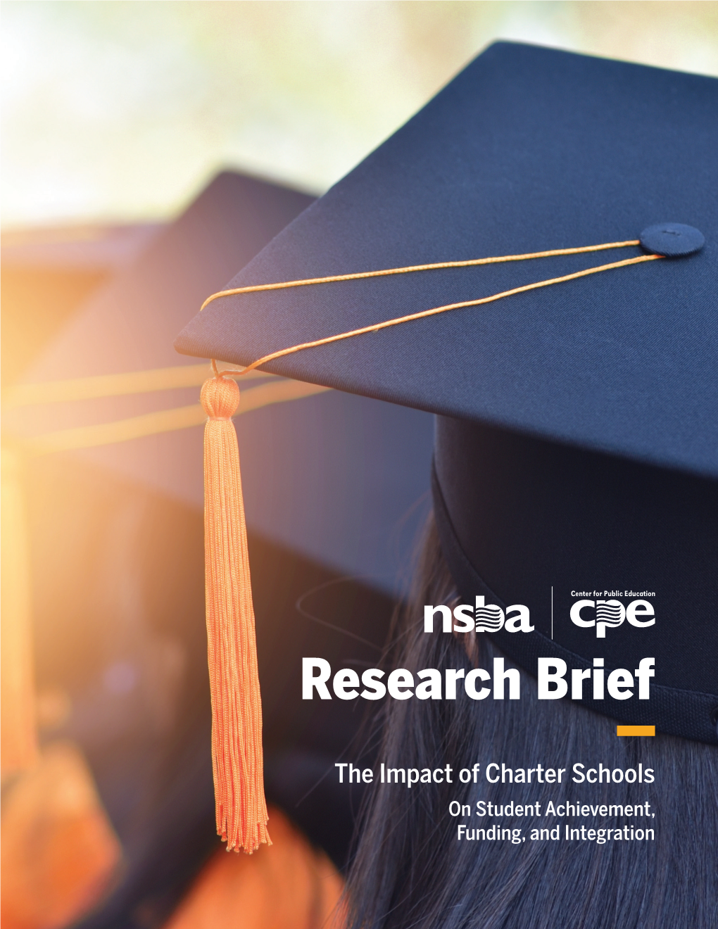 Charter School Research Brief